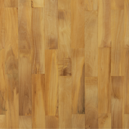 Ulivo Bianco Massiccio 60x300 Épaisseur 10 mm