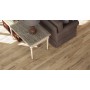 CASTELVETRO CERAMICHE CHÊNE DES BOIS 20X120 RETT. sp.10mm