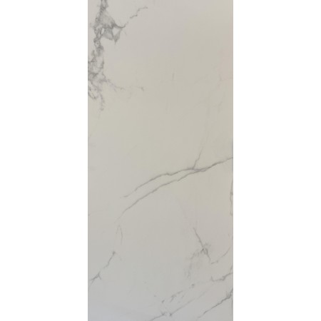 Elite Statuario Nat 60x120 sp.9mm