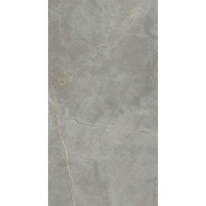 MIRAGE BIJOUX RAYMI 60X120 LUCIDE RECTANGULAIRE