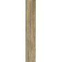 More Beige 26x160 10mm