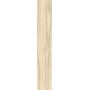 CASTELVETRO CERAMICHE Plus Blanc 26x160 10mm
