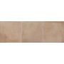 MARCA CORONA TERRE OCRE 20X20
