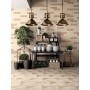 MARCA CORONA TERRA PORZIONE HEXAGONE VERS. C 25X21.6