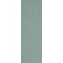 FAP CERAMICHE LIGNE DE COULEUR SALVIA MATT 25X75