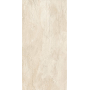 REX CÉRAMIQUES ARDOISE IVOIRE MATT 60X120 RECTIFIÉ 9mm