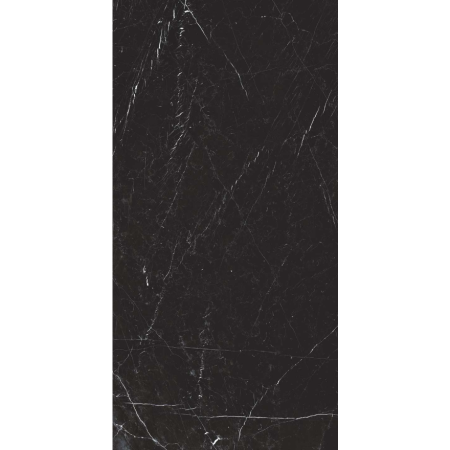 REX CÉRAMIQUES I CLASSIQUES MARQUINIA BRILLANT 60x120 6mm