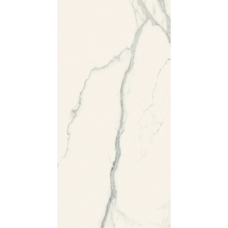 REX CÉRAMIQUES I CLASSIQUES STATUARIO GLOSSY 60x120 - 6mm