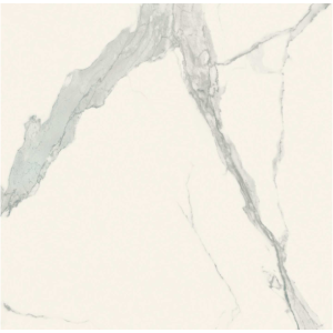 REX CÉRAMIQUES LES CLASSIQUES STATUARIO GLOSSY 80X80 - 9mm