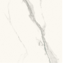 REX CÉRAMIQUES LES CLASSIQUES STATUARIO GLOSSY 60X60 - 9mm