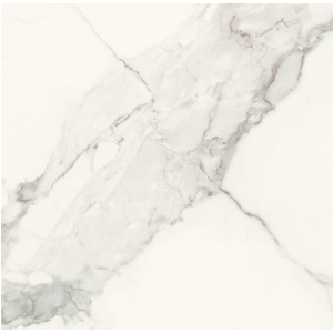 REX CÉRAMIQUES LES CLASSIQUES STATUARIO GLOSSY 60X60 - 9mm