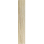 REX CÉRAMIQUES PLANCHES AMANDE MATTE 20x120 RETTIFICATO 9mm