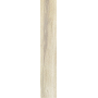 REX CÉRAMIQUES PLANCHES AMANDE MATTE 20x120 RETTIFICATO 9mm