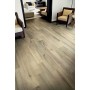REX CÉRAMIQUES PLANCHES MIEL MATTE 20x120 RETTIFICATO 9mm