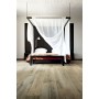 REX CERAMICHE PLANCHES MIEL MATTE 26.5x180 RETTIFICATO 9mm