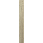 REX CERAMICHE PLANCHES MIEL MATTE 26.5x180 RETTIFICATO 9mm