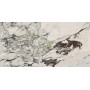 MARAZZI ALLMARBLE_FLOOR CAPRAIA 75X150 RECTIFIÉ