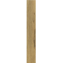 REX CERAMICHE PLANCHES NOISETTE MATTE 26.5x180 RETTIFICATO 9mm