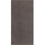 FLORIM - SOL GRES INDUSTRIEL PLOMB NATUREL 60X120 - SP 9mm
