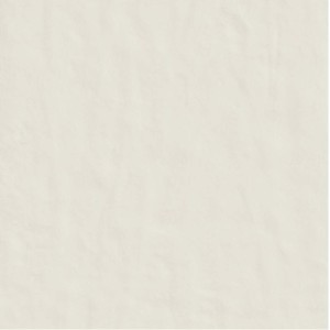 CASAMOOD NEUTRA BLANC 6.0 120x120