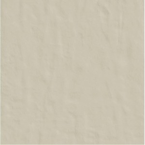 CASAMOOD NEUTRE POUDRE 6.0 120x120 SP 6mm