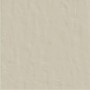 CASAMOOD NEUTRE POUDRE 6.0 120x120 SP 6mm