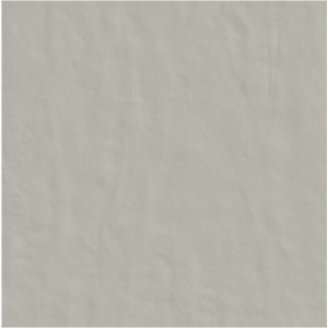 CASAMOOD NEUTRA FERRO 6.0 120x120