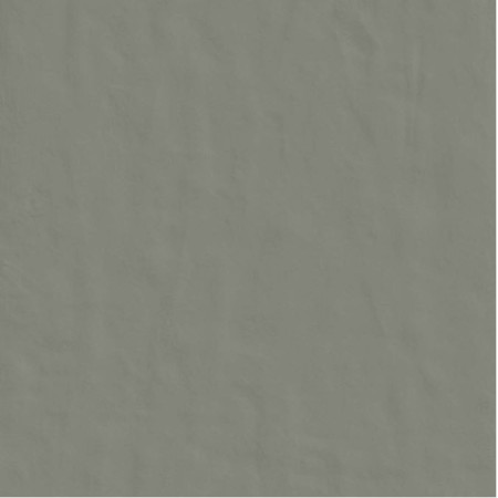 CASAMOOD NEUTRE GRAFITE 6.0 120x120 SP 6mm