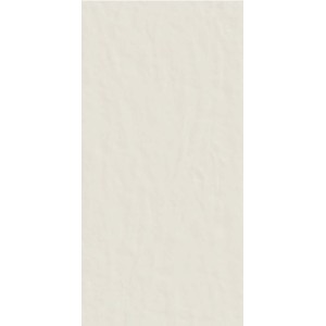CASAMOOD NEUTRA BLANC 6.0 60x120