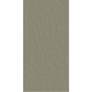 CASAMOOD NEUTRE QUARTZ 6.0 60x120 SP 6mm