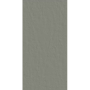 CASAMOOD NEUTRE GRAFITE 6.0 60x120 SP 6mm