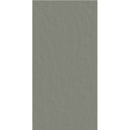 CASAMOOD NEUTRE GRAFITE 6.0 60x120 SP 6mm