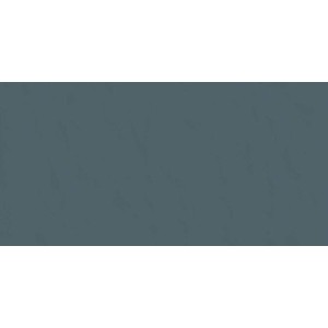 CASAMOOD NEUTRE PETROLE 6.0 60x120 SP 6mm