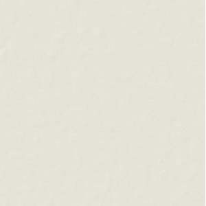 CASAMOOD NEUTRE BLANC 6.0 80x80