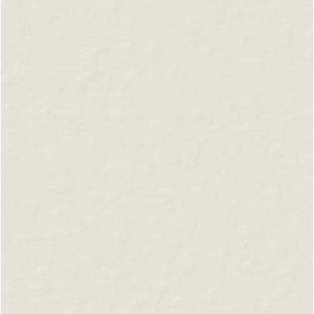 CASAMOOD NEUTRE BLANC 6.0 80x80