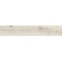 IMPRONTE ITALGRANITI ALNUS PUR 20X120 RETT SP 9