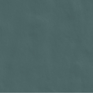 CASAMOOD NEUTRE PÉTROLE 6.0 80x80