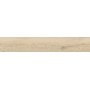 IMPRONTE ITALGRANITI ALNUS VANILLE 20X120 RETT SP 9