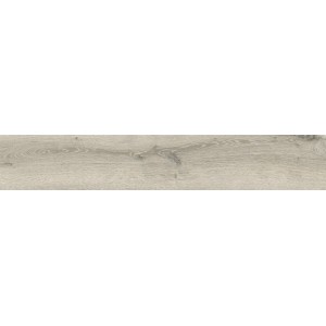 IMPRONTE ITALGRANITI ALNUS PLUMBIEUX 20X120 RECT SP 9