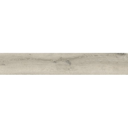 IMPRONTE ITALGRANITI ALNUS PLUMBIEUX 20X120 RECT SP 9