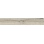 IMPRONTE ITALGRANITI ALNUS PLUMBIEUX 20X120 RECT SP 9