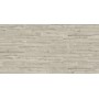 IMPRONTE ITALGRANITI ALNUS PLUMBIEUX 20X120 RECT SP 9
