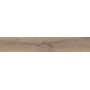 IMPRONTE ITALGRANITI ALNUS MANDORLE 20X120 RETT SP 9
