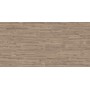 IMPRONTE ITALGRANITI ALNUS MANDORLE 20X120 RETT SP 9