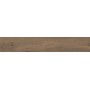 IMPRONTE ITALGRANITI ALNUS TERRE 20X120 RETT SP 9