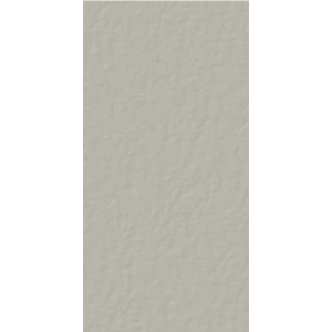 CASAMOOD NEUTRE FER 6.0 60x120 SP 9mm