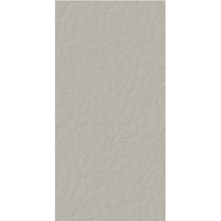 CASAMOOD NEUTRE FER 6.0 60x120 SP 9mm