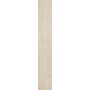 TREVERKHOME ACERO 20X120 Rectifié
