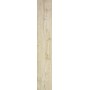 TREVERKHOME BETULLA 20X120 Rectifié