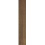 TREVERKHOME CASTAGNO 20X120 Rectifié